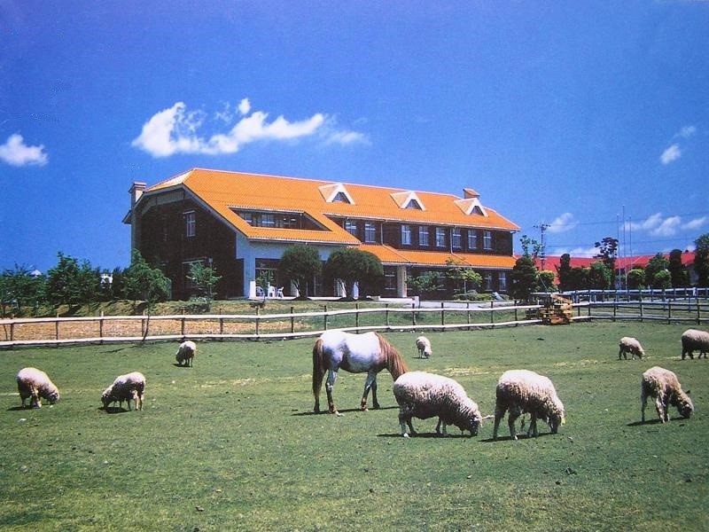 滋賀県畜産技術振興センター本館の写真です。
オレンジ色の屋根、木の壁の2階建ての庁舎です。
ふれあい広場では馬や羊が緑の牧草を食べています。
