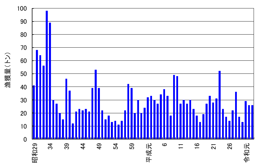 ビワマス漁獲量の推移(S29～R3)