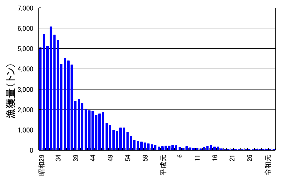 セタシジミ漁獲量の推移(S29～R3)