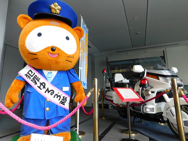 展示コーナー