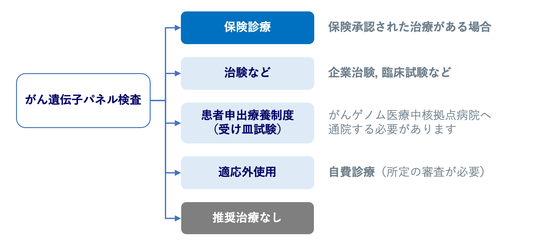 がん遺伝子パネル検査