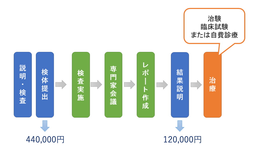 検査の流れ