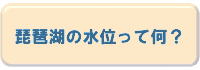 琵琶湖の水位って何？