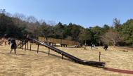 滋賀県立近江富士花緑公園（野洲市）がリニューアルオープンしました。