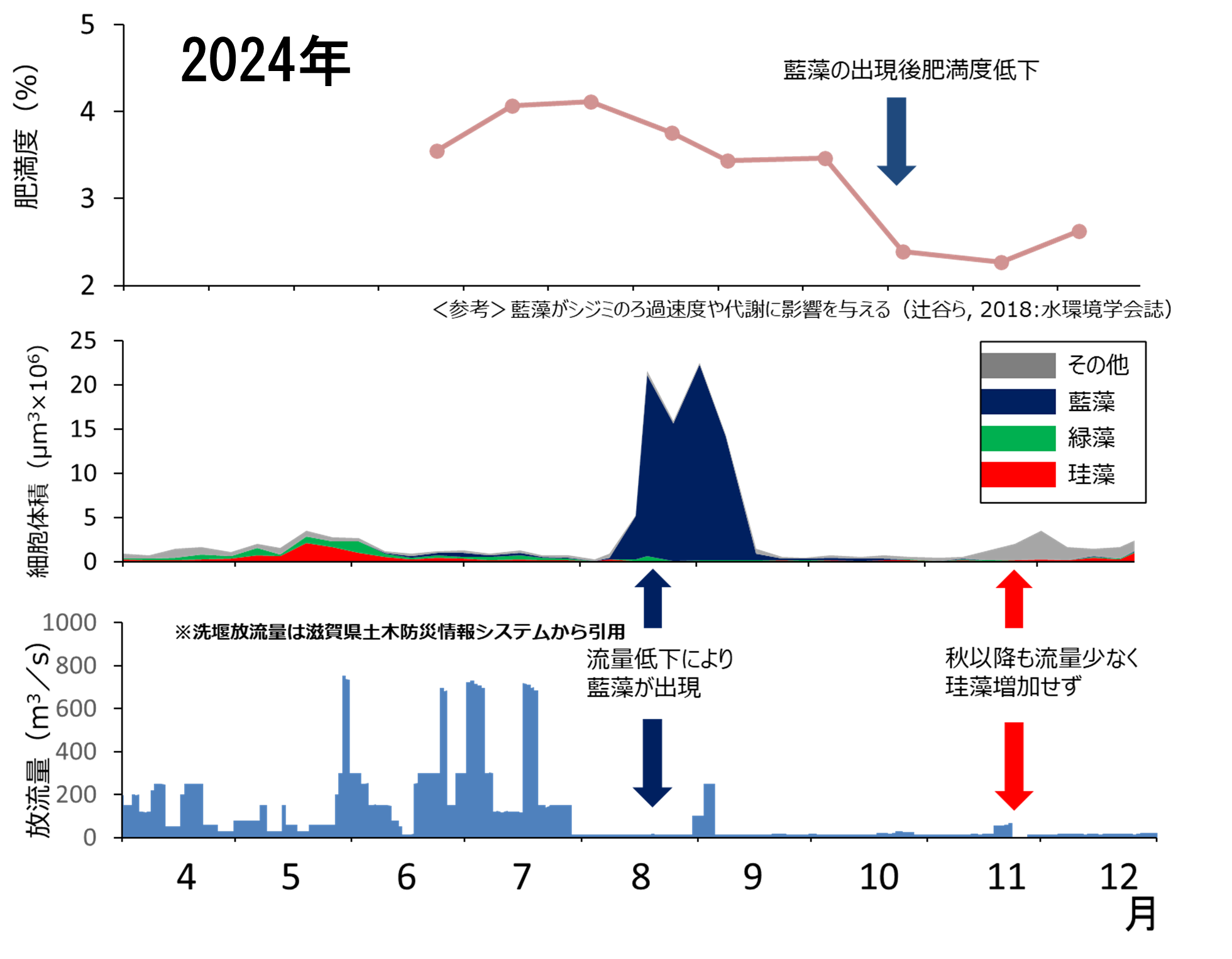図6