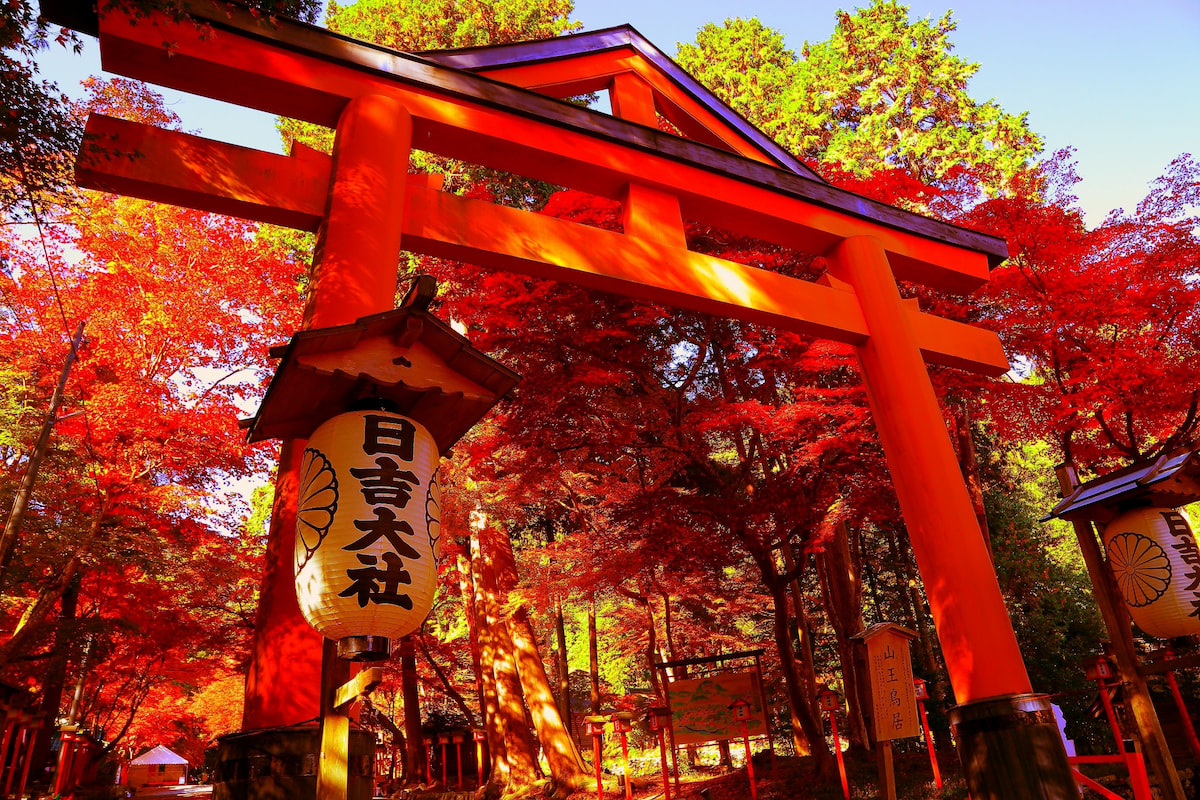 日吉大社の詳細を表示