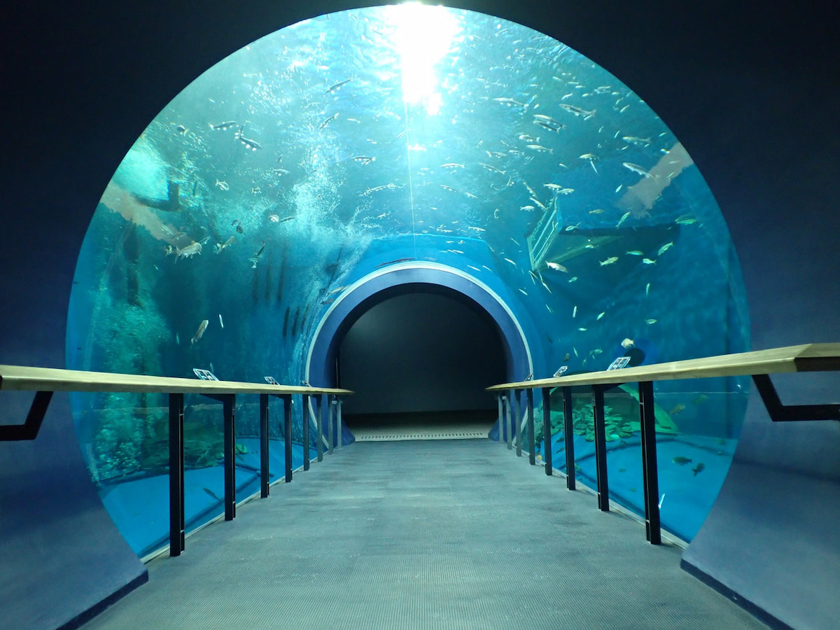 琵琶湖博物館の詳細を表示