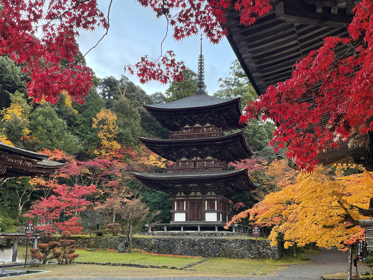 西明寺の詳細を表示