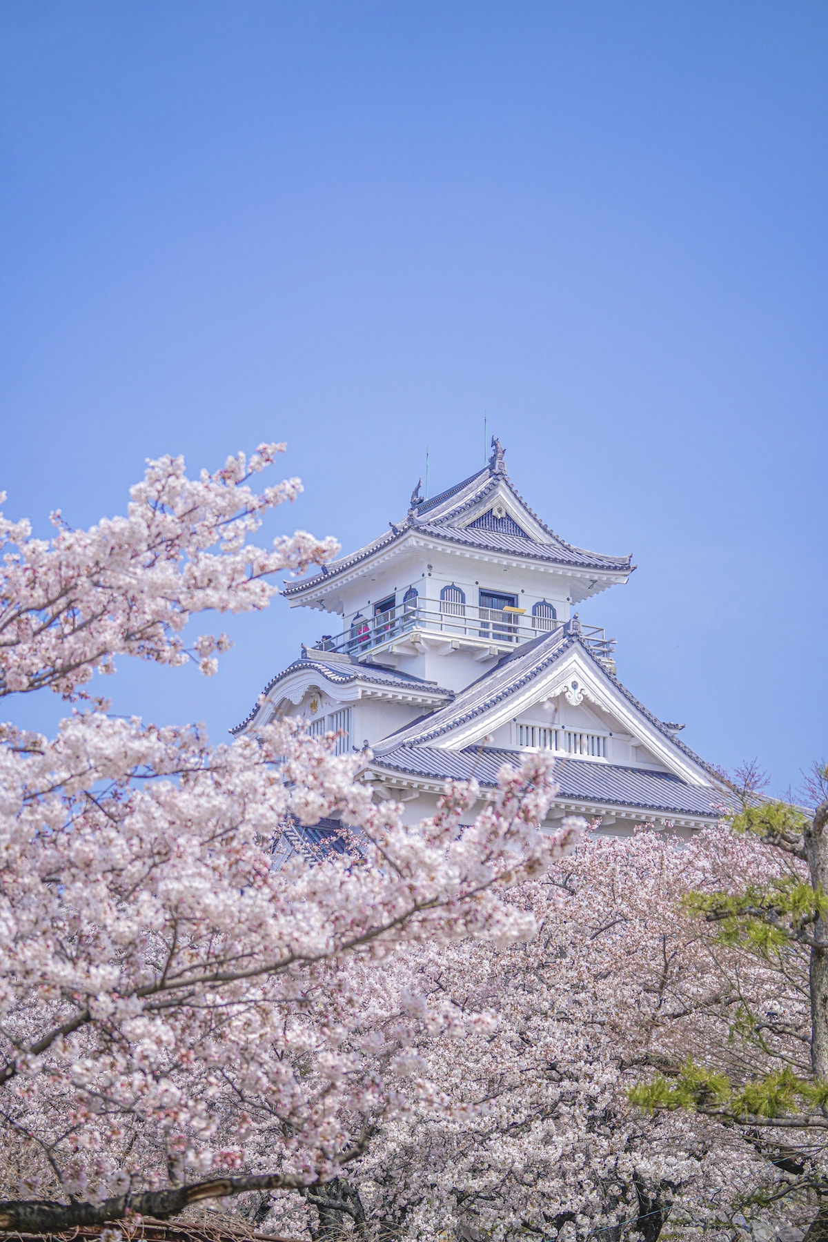長浜城（長浜城歴史博物館）の詳細を表示