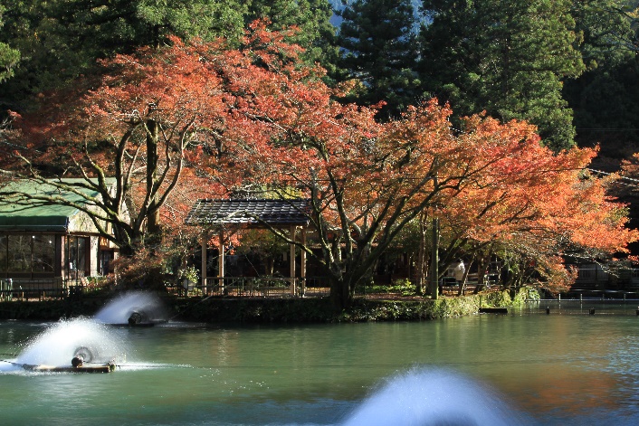 滋賀県醒井養鱒場の詳細を表示