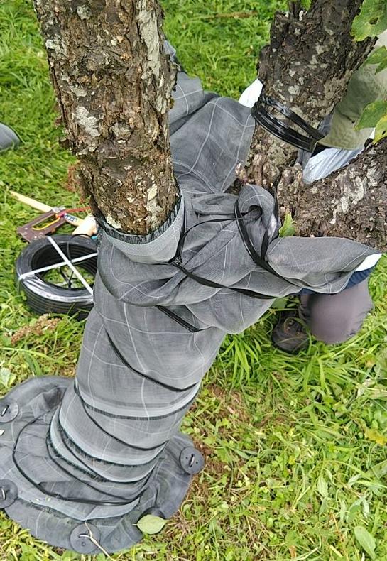 防除対策