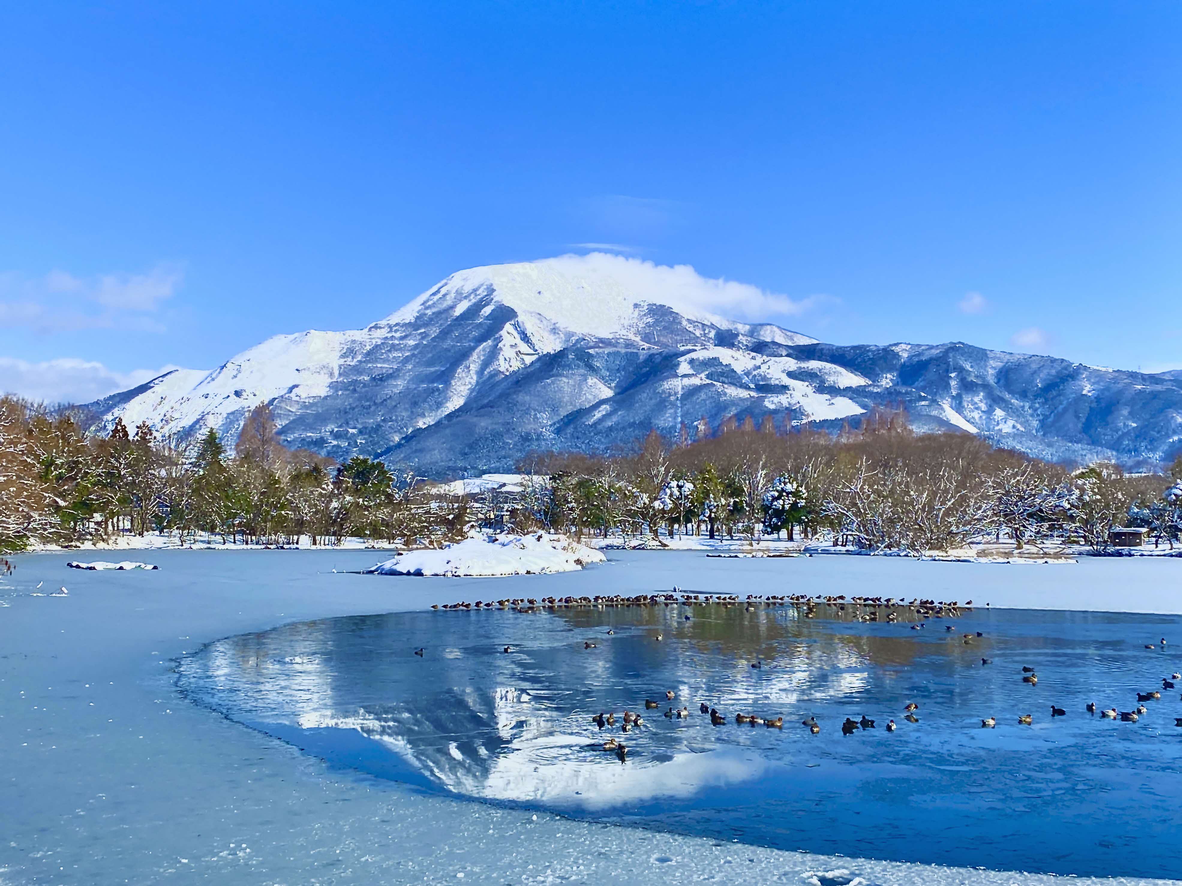 伊吹山の詳細を表示