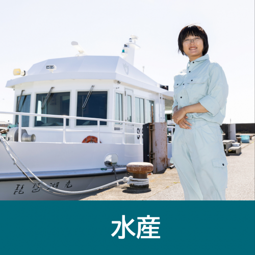 水産のメッセージはこちら