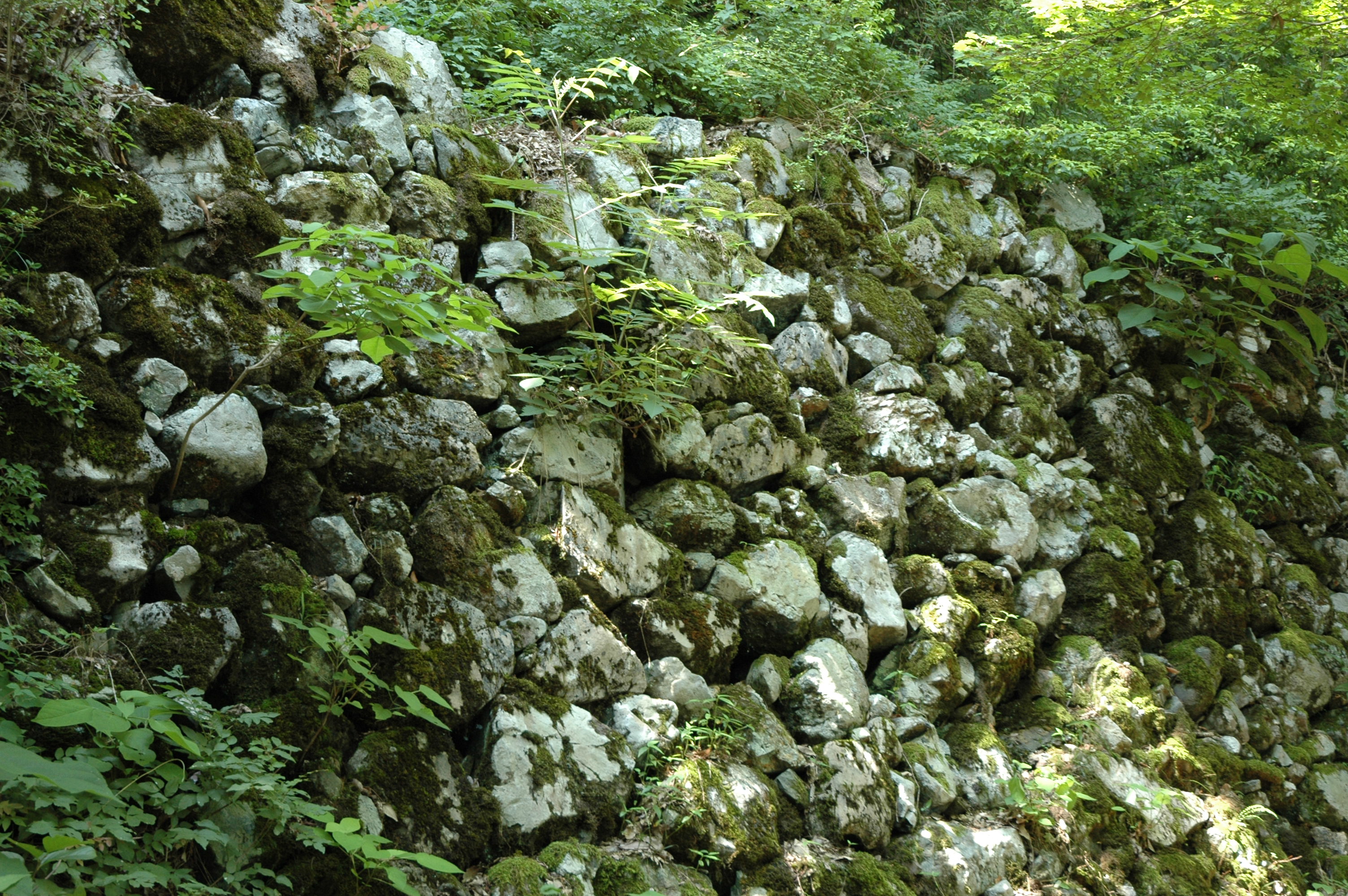 小谷城の詳細を表示