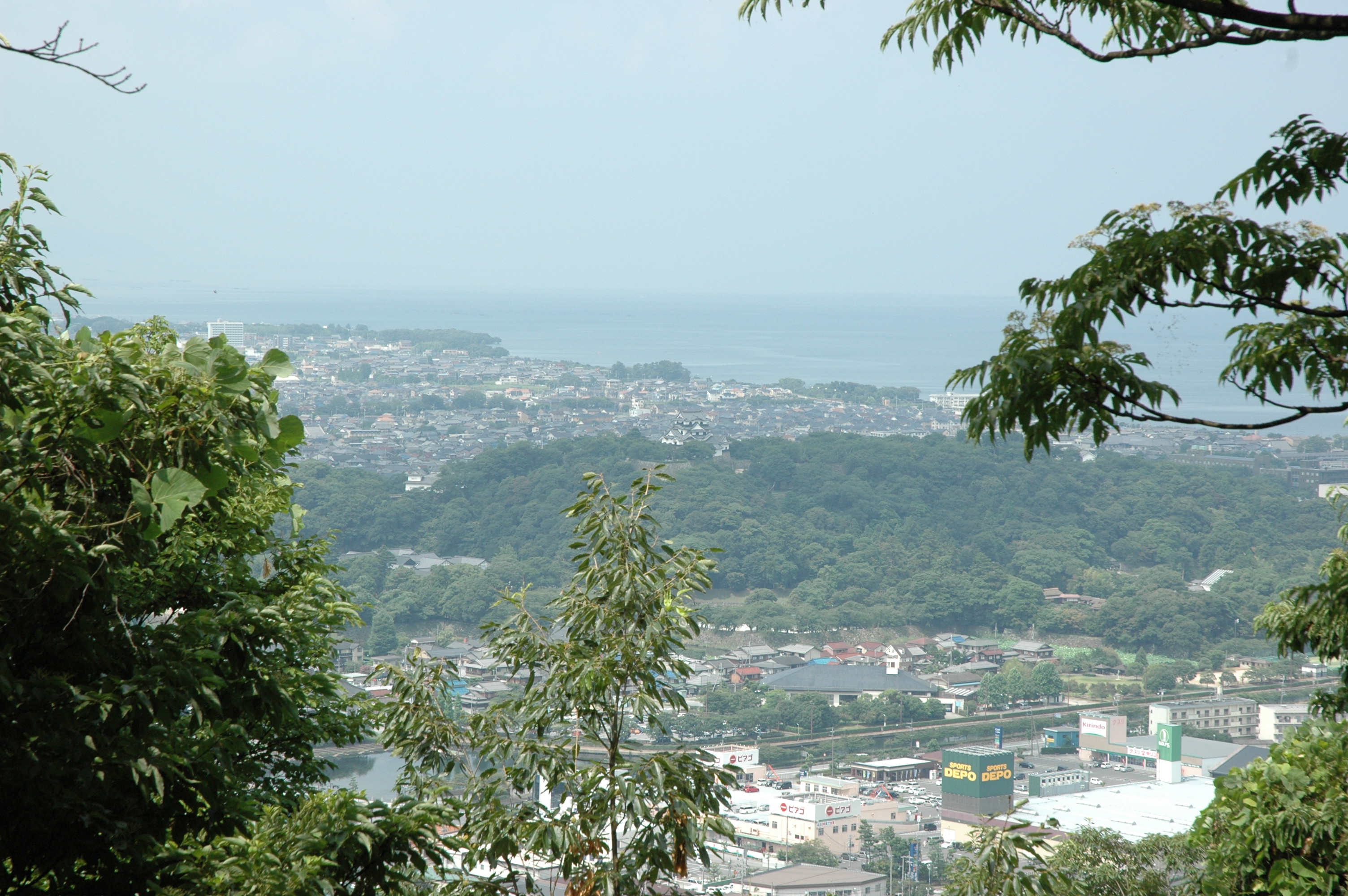 佐和山城の詳細の説明