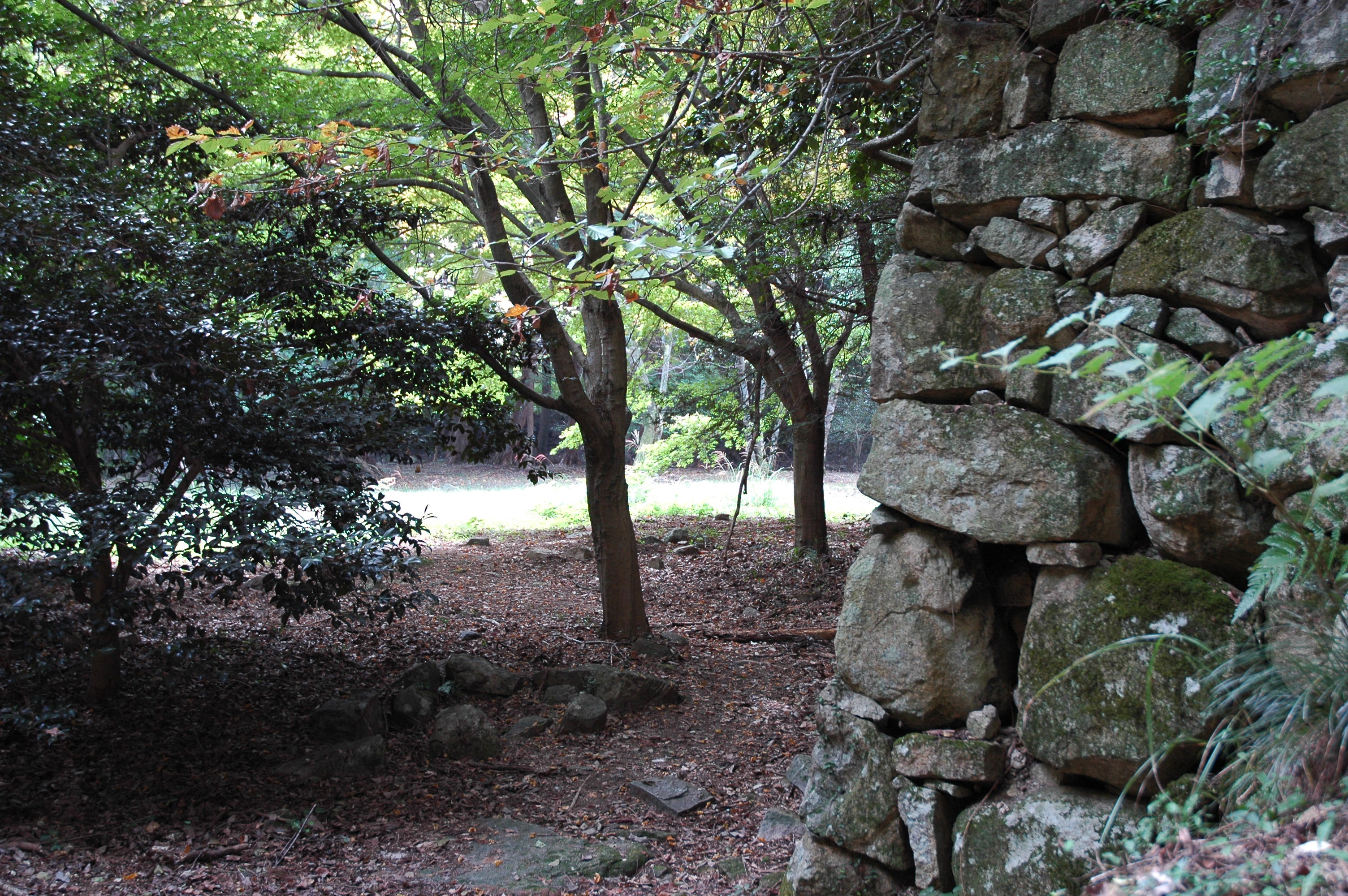 観音寺城の詳細の表示