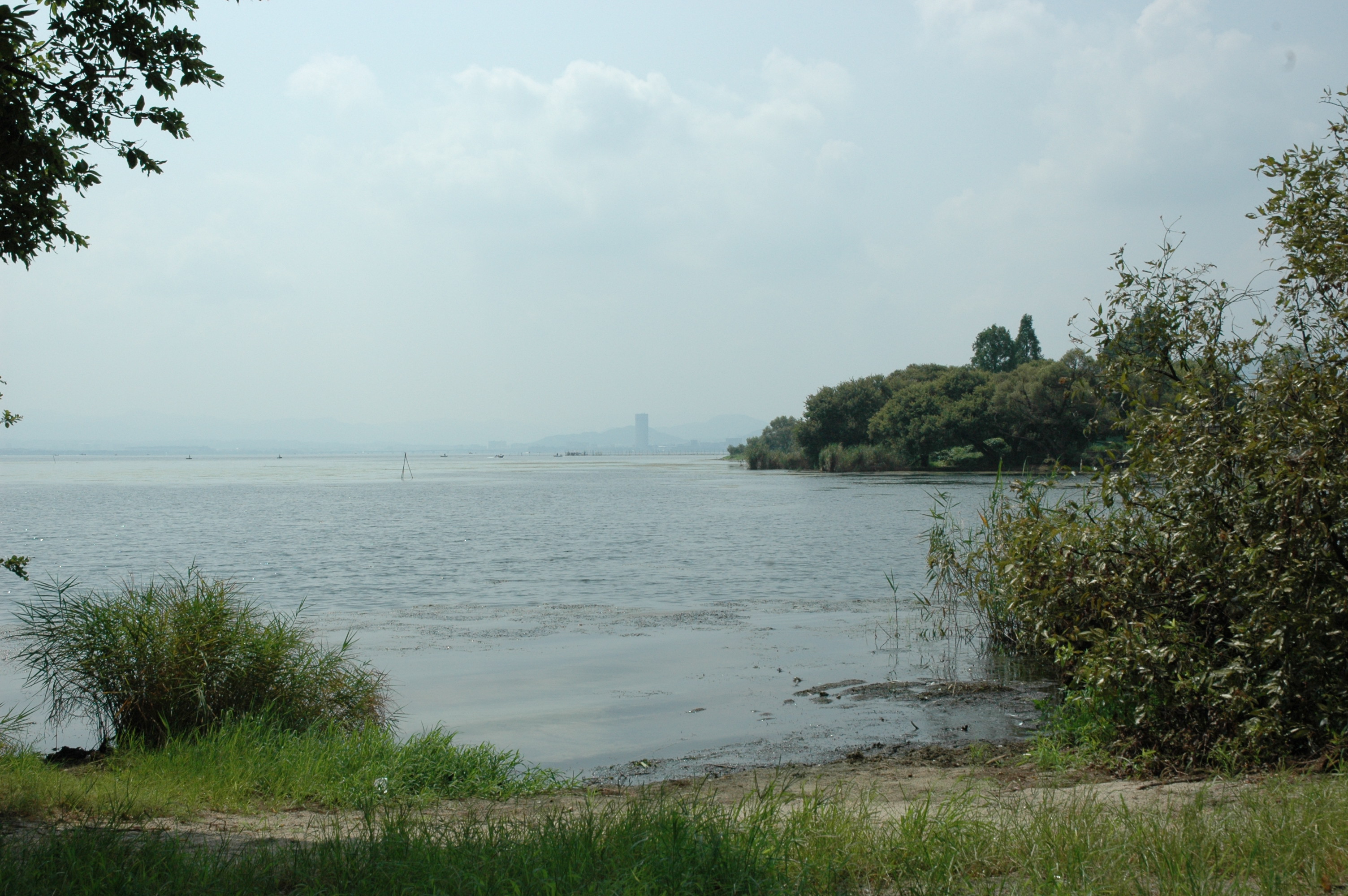 坂本城の詳細の表示