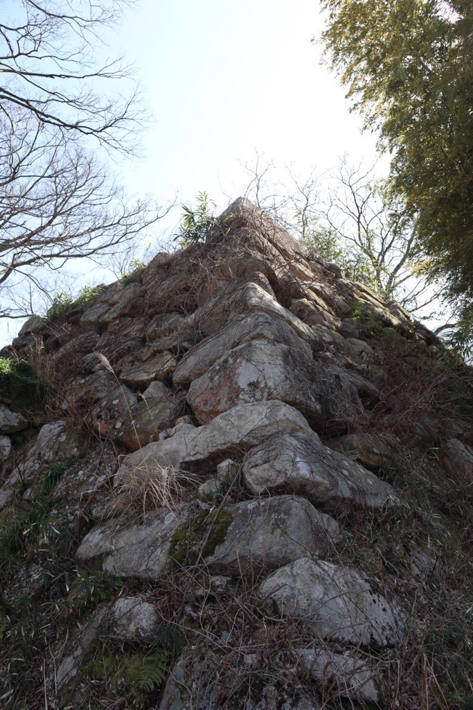 大溝城の詳細を表示