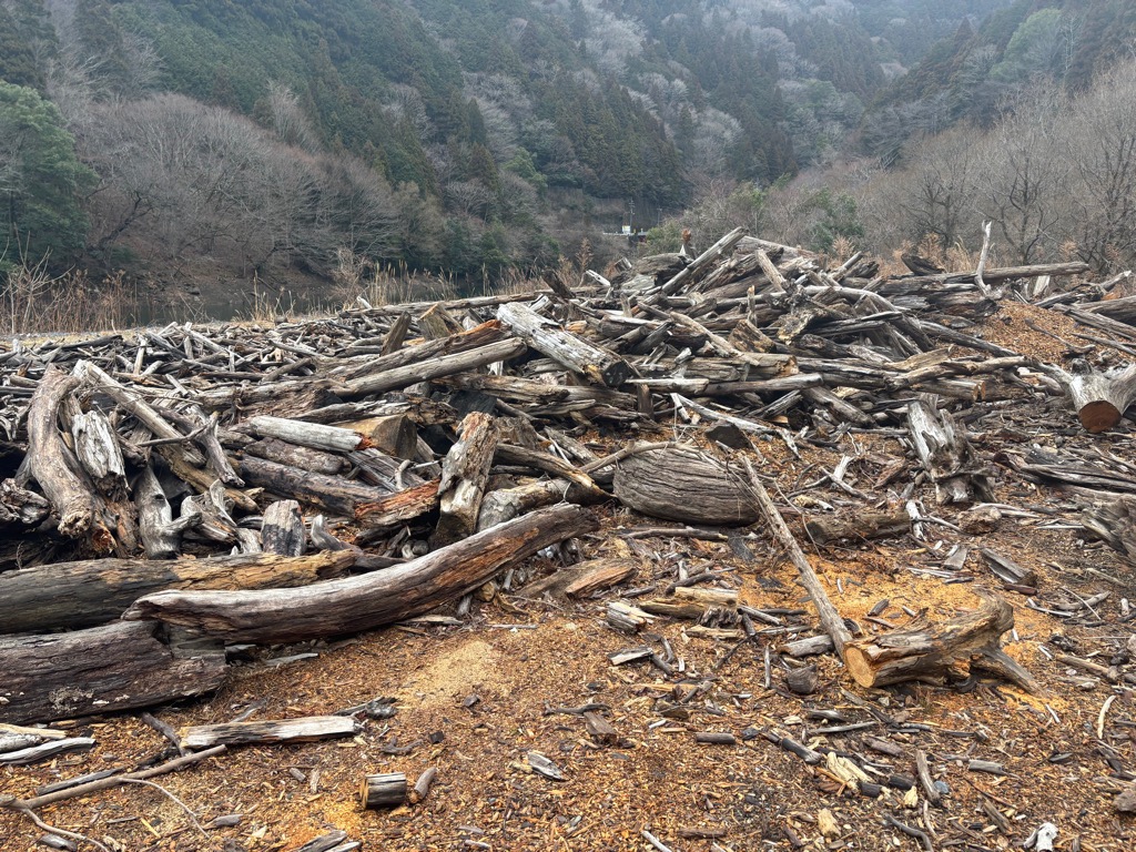 2026年2月26日の集積状況1