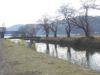 3月26日の余呉湖の写真です。