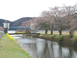 3月31日の写真です。