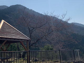 3月30日の石田川ダムの様子です。