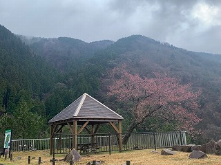 4月2日の石田川ダムの様子です。