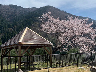 4月6日の石田川ダムの様子です。