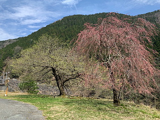 4月6日の石田川ダムの様子です。