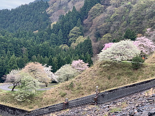 4月13日の石田川ダムです。