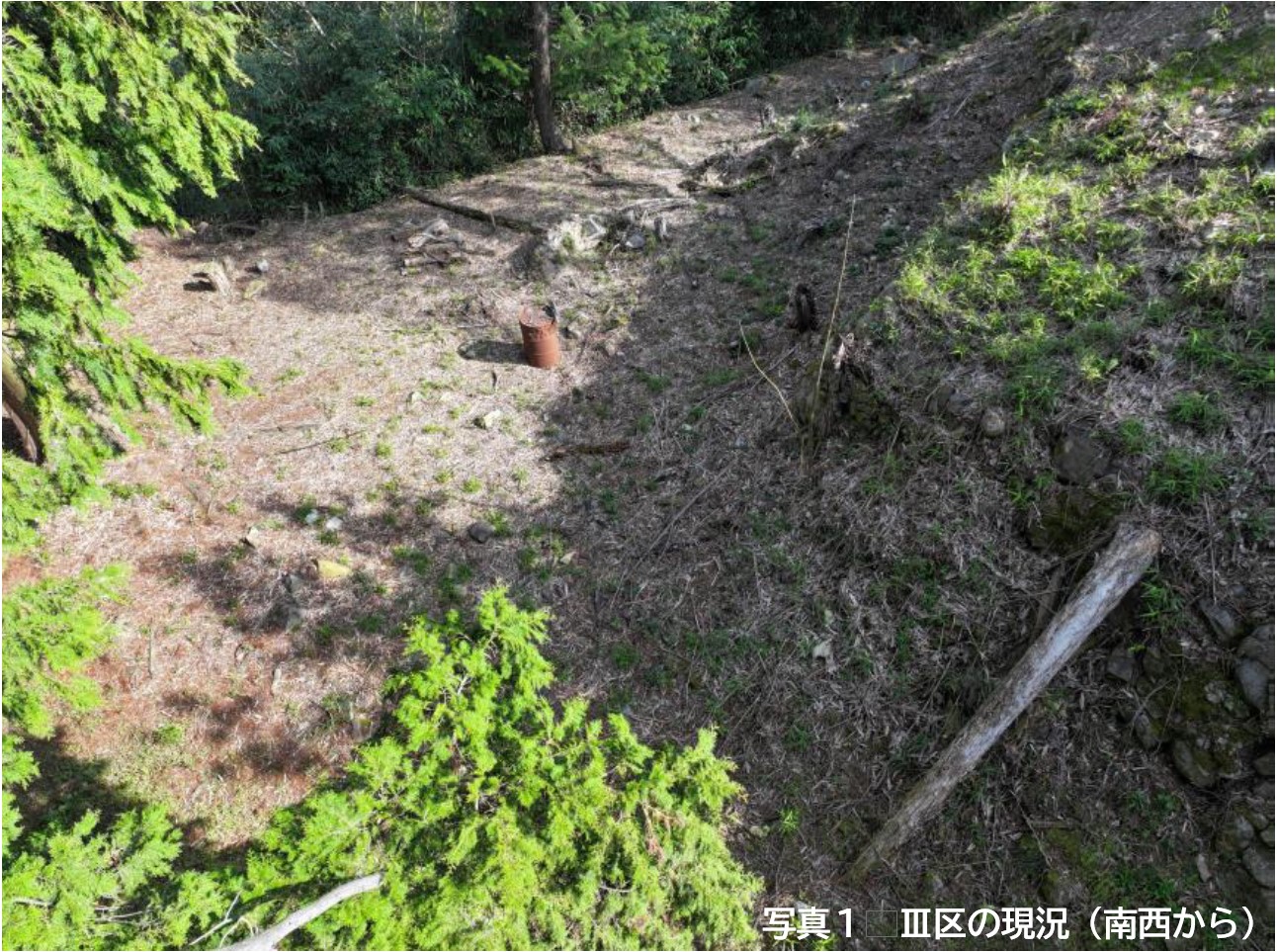 3区の状況（南西から）