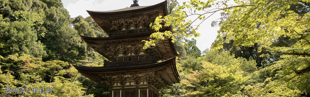 西明寺の国宝の三重塔が画像の中心にあり、塔の周りを囲むように青紅葉が見えます