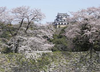彦根城