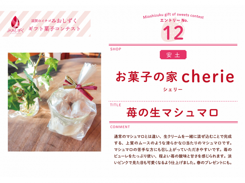 写真:エントリーNo12