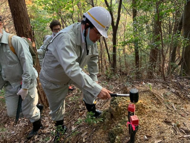 杭打ち
