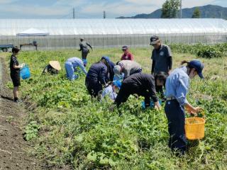 第3回オープンキャンパスの様子3