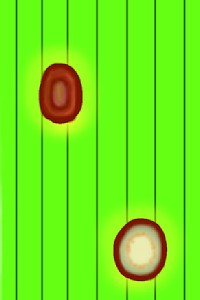 ごま葉枯病のイラスト