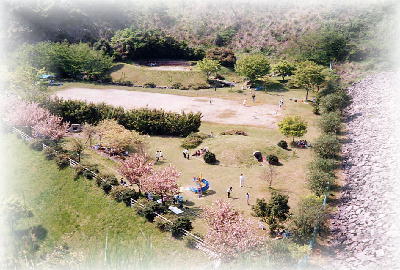 うそがわダム下流台地公園の様子です。