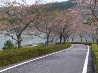 H29青土8-4
