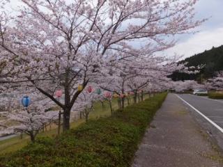 H29青土7-1