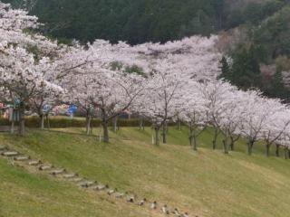 H29青土7-3