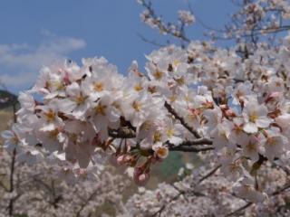 H29青土6-3