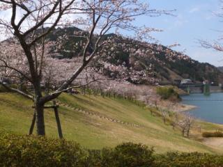 H29青土5-2