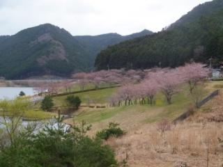 H29青土4-1