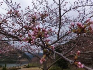 H29青土3-2