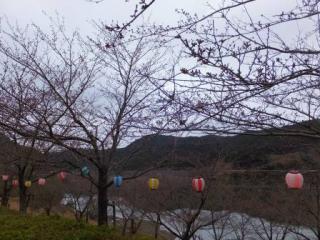 H29青土2-1