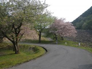 H29石田川9-1