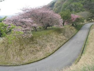 H29石田川9-5