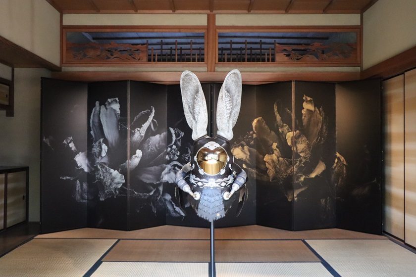展示品2