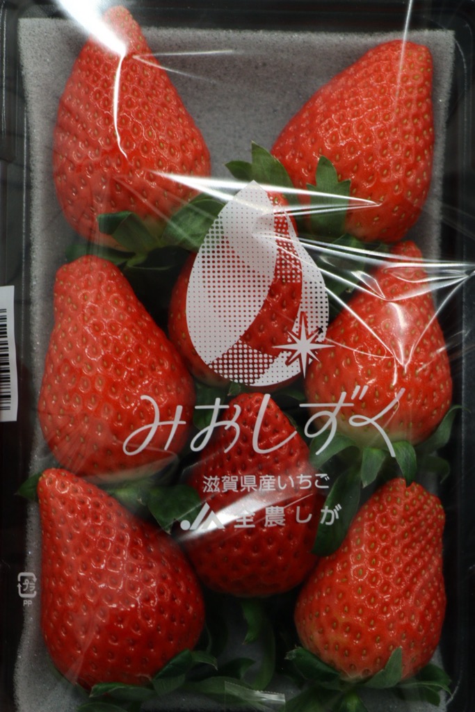 みおしずく2